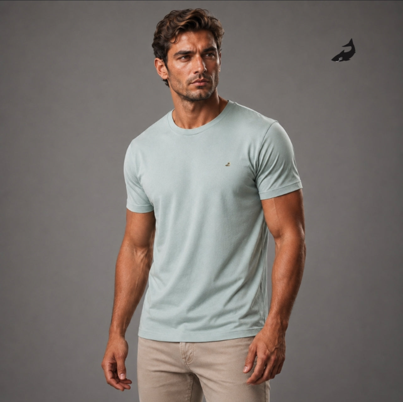 Camiseta Básica Premium Darkfish
